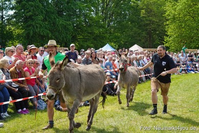 Eselrennen-Fruehlingsfest-2023-0082