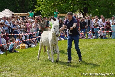 Eselrennen-Fruehlingsfest-2023-0112