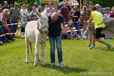 Eselrennen-Fruehlingsfest-2023-0127