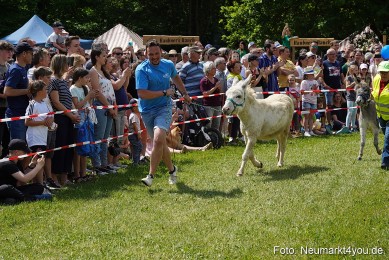 Eselrennen-Fruehlingsfest-Neumarkt-2024-0009