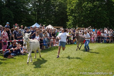 Eselrennen-Fruehlingsfest-Neumarkt-2024-0011