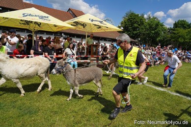 Eselrennen-Fruehlingsfest-Neumarkt-2024-0015
