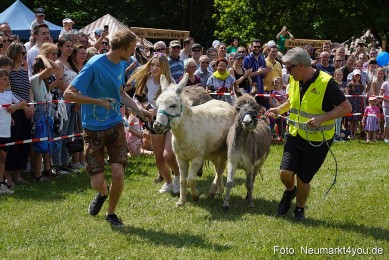 Eselrennen-Fruehlingsfest-Neumarkt-2024-0017