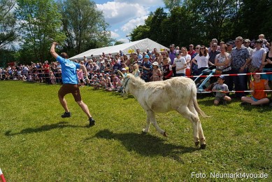 Eselrennen-Fruehlingsfest-Neumarkt-2024-0027
