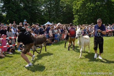 Eselrennen-Fruehlingsfest-Neumarkt-2024-0030