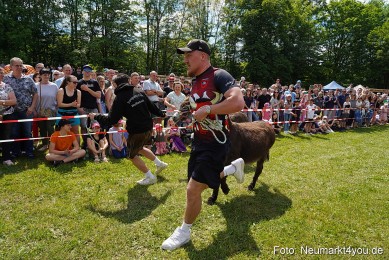 Eselrennen-Fruehlingsfest-Neumarkt-2024-0033