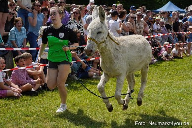 Eselrennen-Fruehlingsfest-Neumarkt-2024-0057
