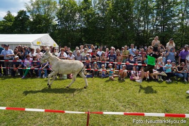 Eselrennen-Fruehlingsfest-Neumarkt-2024-0058