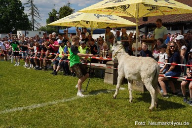 Eselrennen-Fruehlingsfest-Neumarkt-2024-0060