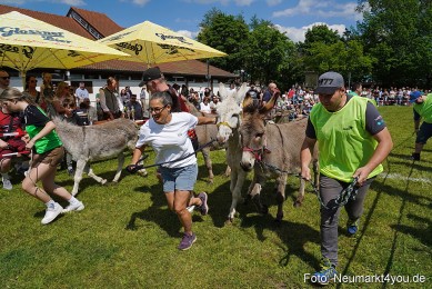 Eselrennen-Fruehlingsfest-Neumarkt-2024-0068