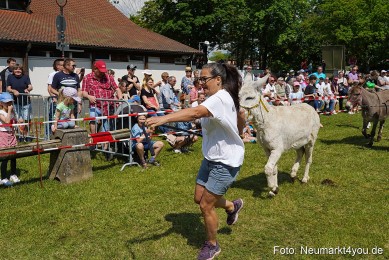 Eselrennen-Fruehlingsfest-Neumarkt-2024-0071