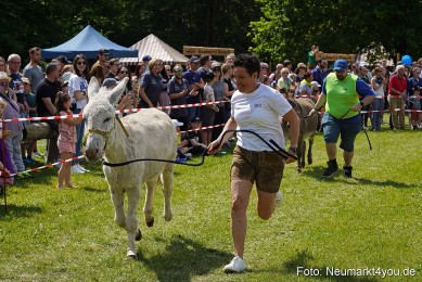 Eselrennen-Fruehlingsfest-Neumarkt-2024-0072