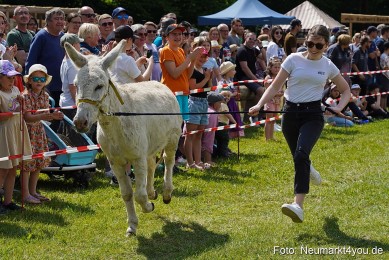 Eselrennen-Fruehlingsfest-Neumarkt-2024-0074