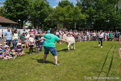 Eselrennen-Fruehlingsfest-Neumarkt-2024-0075