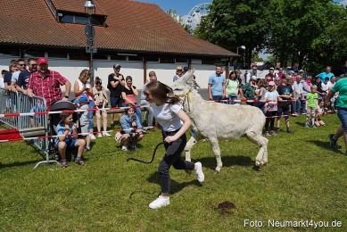 Eselrennen-Fruehlingsfest-Neumarkt-2024-0076