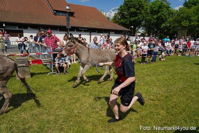 Eselrennen-Fruehlingsfest-Neumarkt-2024-0077