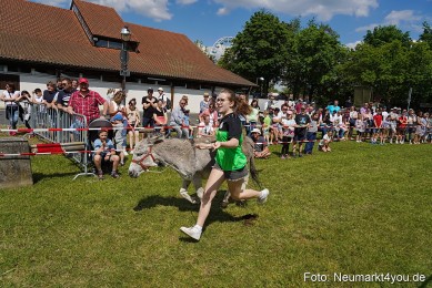 Eselrennen-Fruehlingsfest-Neumarkt-2024-0078