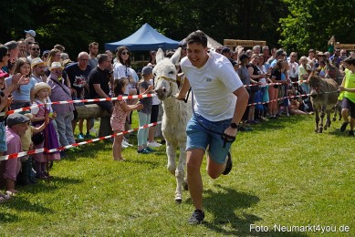 Eselrennen-Fruehlingsfest-Neumarkt-2024-0079