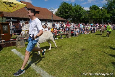 Eselrennen-Fruehlingsfest-Neumarkt-2024-0081