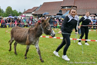 Eselrennen-Fruehlingsfest-2022-0036