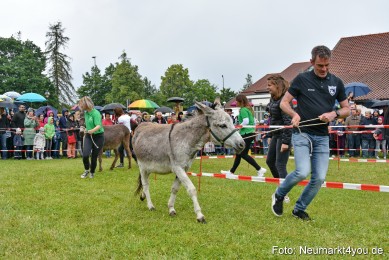 Eselrennen-Fruehlingsfest-2022-0048