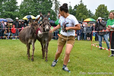 Eselrennen-Fruehlingsfest-2022-0065