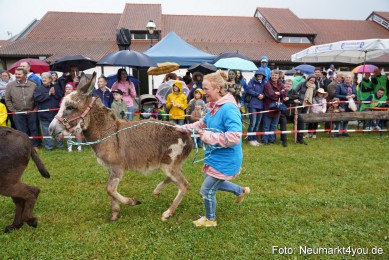 Eselrennen-Fruehlingsfest-2022-0072