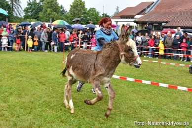 Eselrennen-Fruehlingsfest-2022-0083
