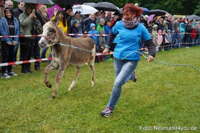 Eselrennen-Fruehlingsfest-2022-0085