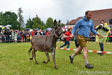 Eselrennen-Fruehlingsfest-2022-0104