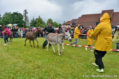 Eselrennen-Fruehlingsfest-2022-0120