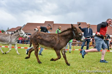 Eselrennen-Fruehlingsfest-2022-0147