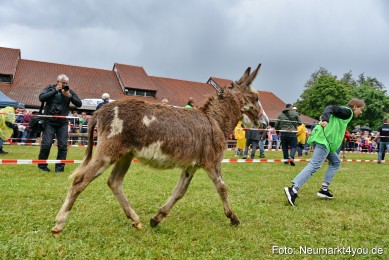 Eselrennen-Fruehlingsfest-2022-0163