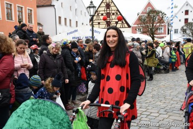 Faschingszug-Berching-2020-230220-0207