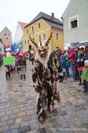Faschingsumzug-Berching-2024-0031