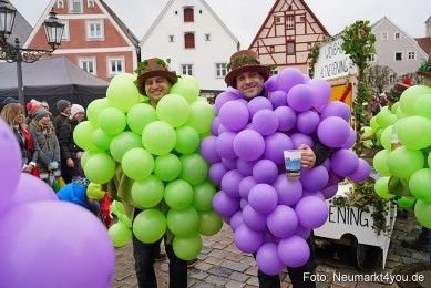 Faschingsumzug-Berching-2024-0298
