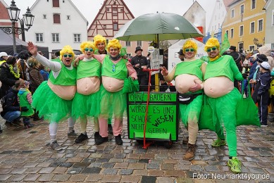 Faschingsumzug-Berching-2024-0379