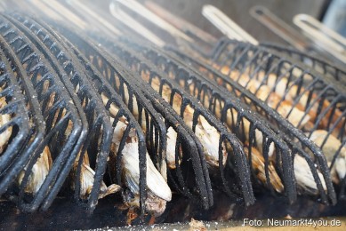 Fruehlingsfest-Neumarkt-2023-0026