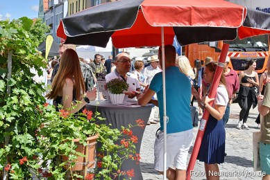 Jobmeile-Neumarkt-2022-0093