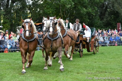 JURA-Volksfest-Pferdeshow-190819-0002