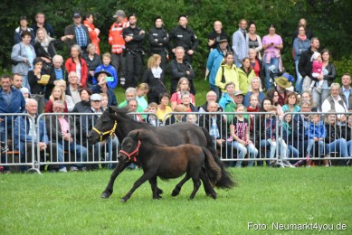 JURA-Volksfest-Pferdeshow-190819-0016