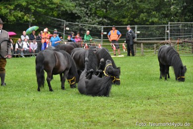 JURA-Volksfest-Pferdeshow-190819-0020
