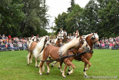 JURA-Volksfest-Pferdeshow-190819-0030