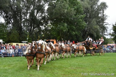 JURA-Volksfest-Pferdeshow-190819-0032