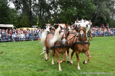 JURA-Volksfest-Pferdeshow-190819-0033