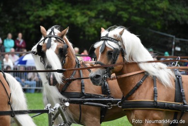 JURA-Volksfest-Pferdeshow-190819-0037