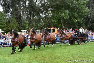JURA-Volksfest-Pferdeshow-190819-0042