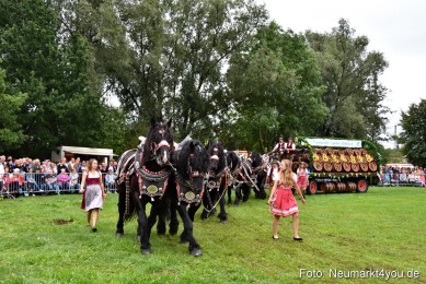 JURA-Volksfest-Pferdeshow-190819-0052