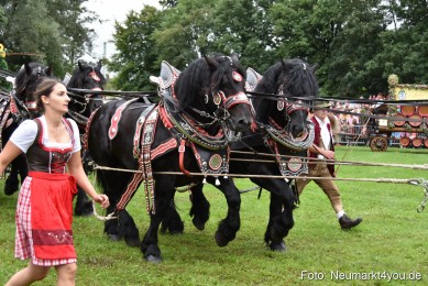 JURA-Volksfest-Pferdeshow-190819-0053