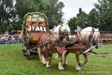JURA-Volksfest-Pferdeshow-190819-0057